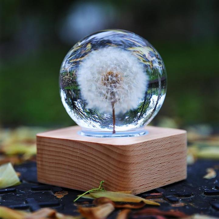 蒲公英标本水晶球创意摆件